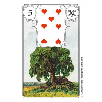 Blue Owl Lenormand Kortos AGM